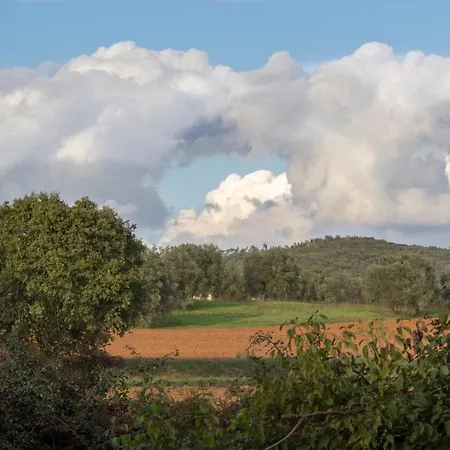 Tuscan Rustic *