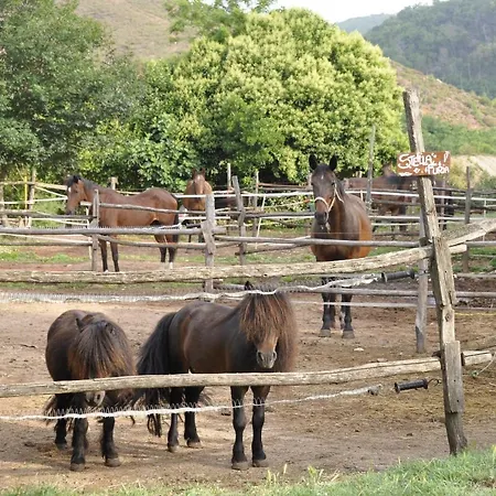 Daire Tuscan Rustic