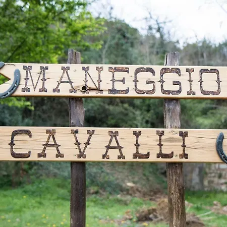 Daire Tuscan Rustic Massa Marittima