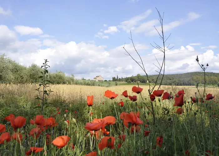 Апартаменты Tuscan Rustic *